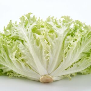 Endivyen (Kıvırcık hindiba)