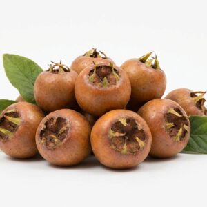 Muşmula